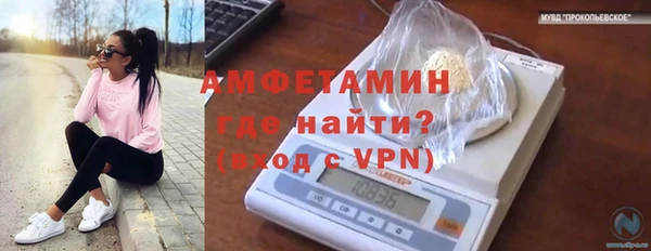 прущие грибы Наволоки
