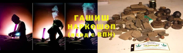 гашик Каменка