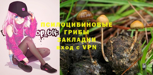 мяу мяу мука Михайловск