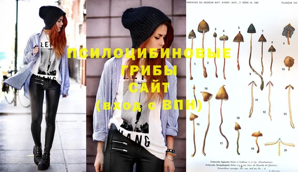 spice Михайловка