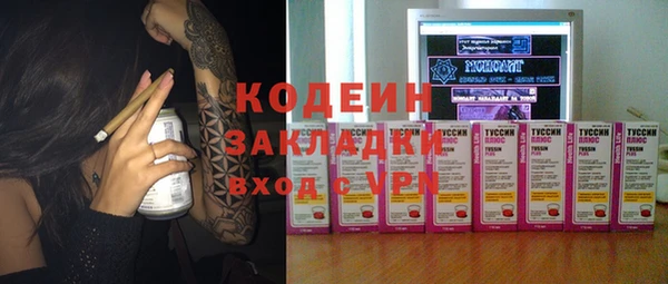 не бодяженный Иннополис